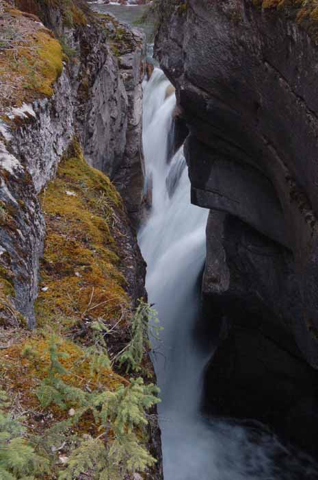 Maligne Canyon